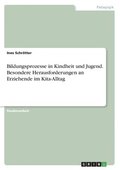 Bildungsprozesse in Kindheit und Jugend. Besondere Herausforderungen an Erziehende im Kita-Alltag