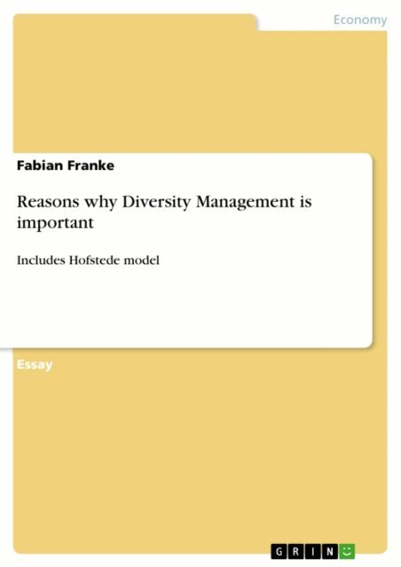 Fabian Franke - Reasons why Diversity Management is important, E-bok