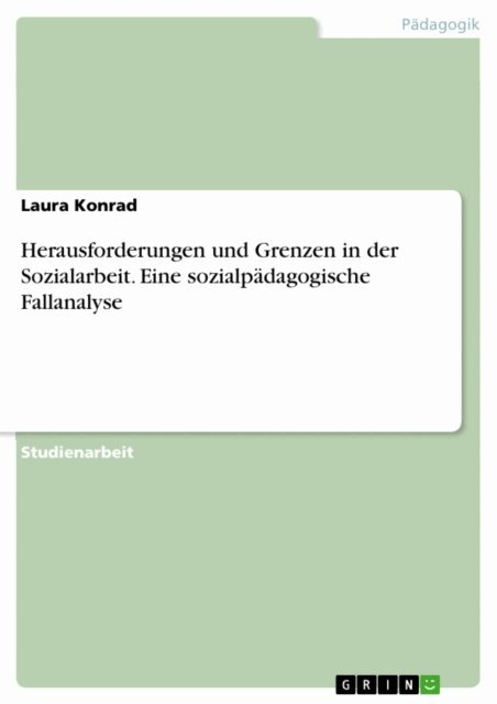 Laura Konrad - Herausforderungen und Grenzen in der Sozialarbeit. Eine sozialpadagogische Fallanalyse, E-bok