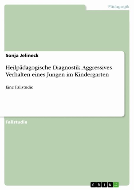 Sonja Jelineck - Heilpadagogische Diagnostik. Aggressives Verhalten eines Jungen im Kindergarten, E-bok