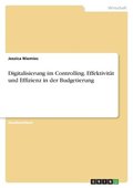 Digitalisierung im Controlling. Effektivitat und Effizienz in der Budgetierung