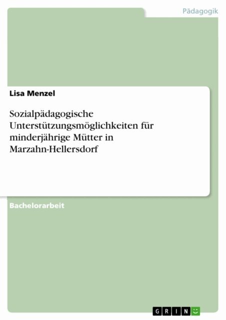 Lisa Menzel - Sozialpadagogische Unterstutzungsmoglichkeiten fur minderjahrige Mutter in Marzahn-Hellersdorf, E-bok