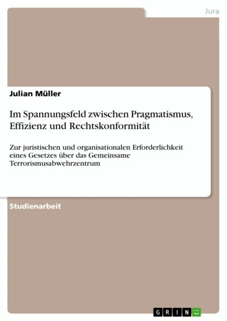 Julian Muller - Im Spannungsfeld zwischen Pragmatismus, Effizienz und Rechtskonformitat, E-bok