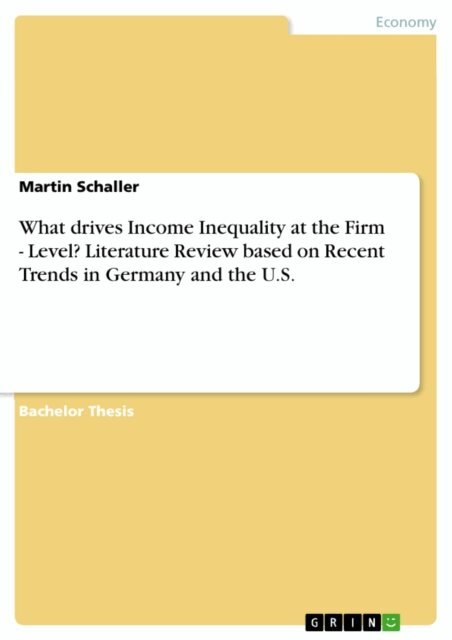 Martin Schaller - What drives Income Inequality at the Firm - Level? Literature Review based on Recent Trends in Germany and the U.S., E-bok