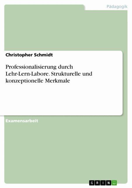 Christopher Schmidt - Professionalisierung durch Lehr-Lern-Labore. Strukturelle und konzeptionelle Merkmale, E-bok
