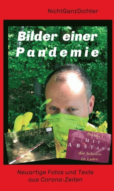 ... NichtGanzDichter - Bilder einer Pandemie, E-bok