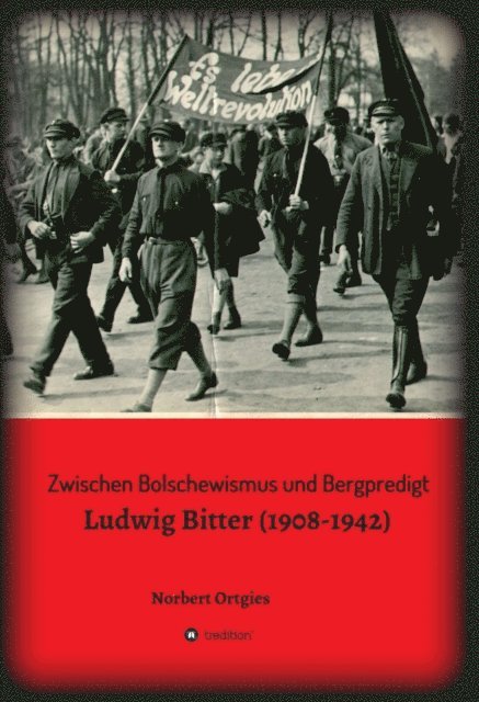 Norbert Ortgies - Zwischen Bolschewismus und Bergpredigt, E-bok