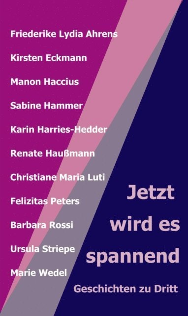 Barbara Rossi, Karin Harries-Hedder, Marie Wedel, Kirsten Eckmann, Felizitas Peters, Manon Haccius, Ursula Striepe, Sabine Hammer, Christiane Maria Luti, Friederike Lydia Ahrens, Renate (Hg) Haumann, Renate Haumann - Jetzt wird es spannend, E-bok
