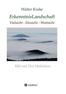 Walter Krahe - ErkenntnisLandschaft: Vielsicht - Einsicht - Weitsicht, Häftad. Tillgänglighet: Lägg i varukorg
