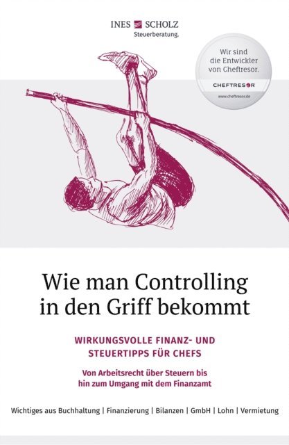 Ines Scholz - Wie man Controlling in den Griff bekommt, E-bok