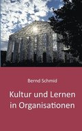 Kultur und Lernen in Organisationen: Ein Lesebuch von Bernd Schmid 2020