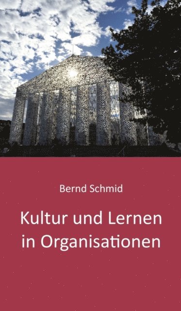 Bernd Schmid - Kultur und Lernen in Organisationen, E-bok