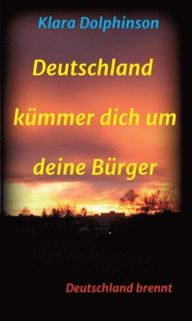 Klara Dolphinson - Deutschland Kümmer dich um deine Bürger, E-bok