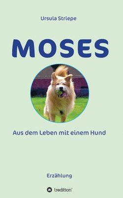 Ursula Striepe - Moses - Aus dem Leben mit einem Hund, Häftad