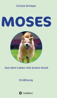 Ursula Striepe - Moses - Aus dem Leben mit einem Hund, Inbunden