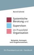 Systemische Beratung und Supervision im Praxisfeld Organisation: Beispiele im Dialog