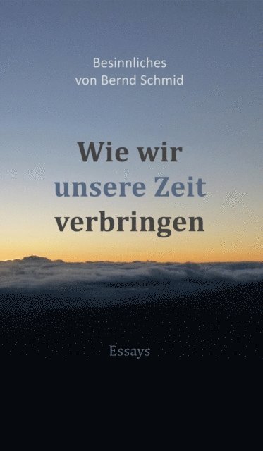 Bernd Schmid - Wie wir unsere Zeit verbringen, E-bok