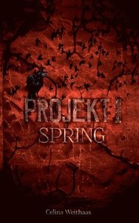 Spring - Projekt I