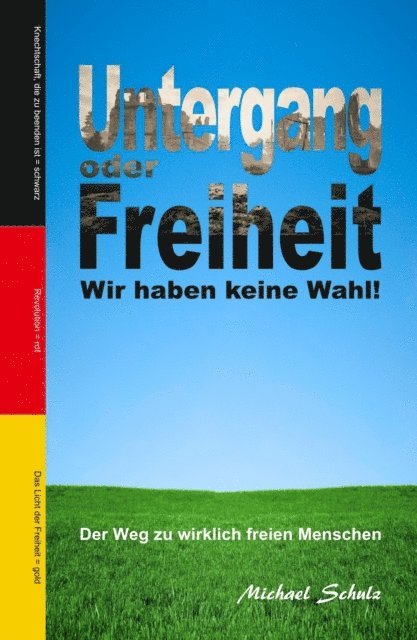 Michael Schulz - Untergang oder Freiheit - Wir haben keine Wahl!, E-bok