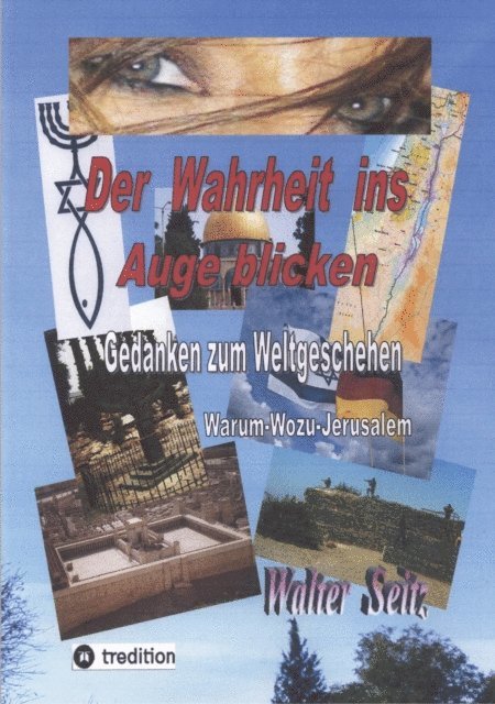 Walter Seitz - Der Wahrheit ins Auge blicken, E-bok