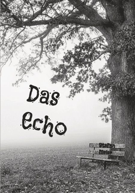 Stefan Meier - Das Echo, E-bok