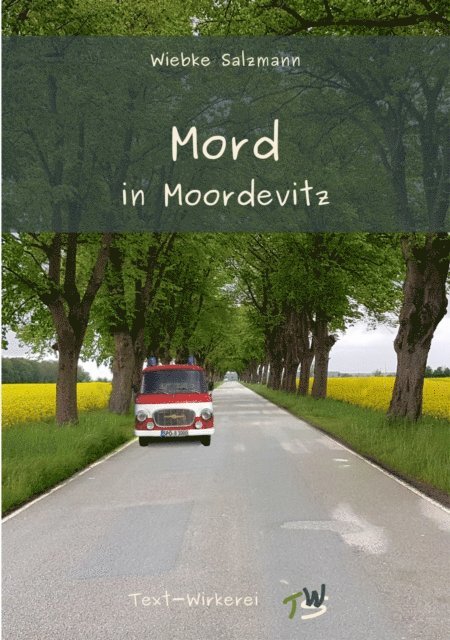 Wiebke Salzmann - Mord in Moordevitz, E-bok