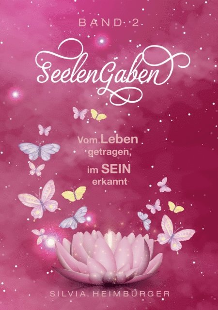 Silvia Heimburger - SeelenGaben Band 2, E-bok