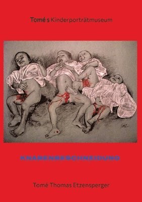 Tomé Thomas Etzensperger - Knabenbeschneidung / Ausstellung gegen das neue Beschneidungsgesetz der Bundesregierung: Tomé s Kinderporträtmuseum, Häftad