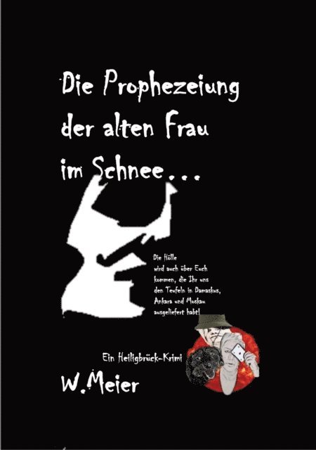 Werner Meier - Im Schatten des Teufels, E-bok