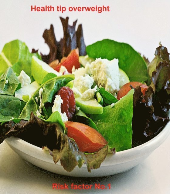 Maximilian Loidl - Health tip overweight, E-bok. Tillgänglighet: Lägg i varukorg