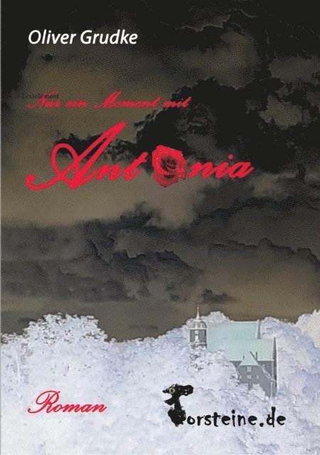 Oliver Grudke - Nur ein Moment mit Antonia, E-bok