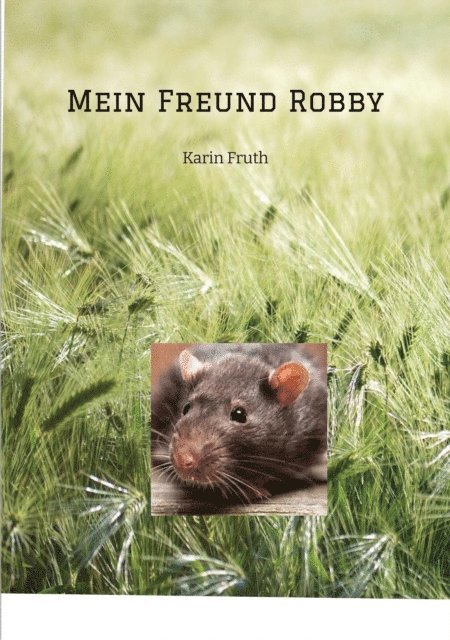 Karin Fruth - Mein Freund Robby, E-bok