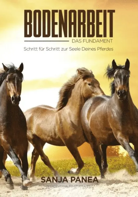 Sanja Panea - Bodenarbeit - Das Fundament, E-bok. Tillgänglighet: Lägg i varukorg