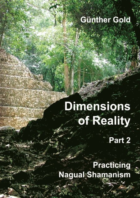 Gunther Gold - Dimensions of Reality - Part 2, E-bok