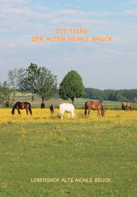 Jana Baller, Alex Meyer, Regina Peter - Wie kommt das Pony auf den Gnadenbrothof?, E-bok