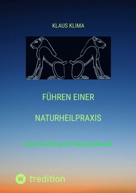 Klaus Klima - Führen einer Naturheilpraxis, E-bok