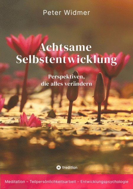Peter Widmer - Achtsame Selbstentwicklung, E-bok