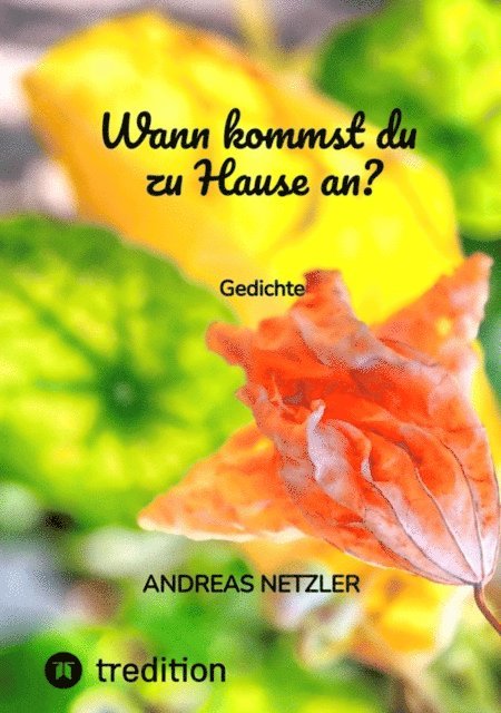Andreas Netzler - Wann kommst du zu Hause an?, E-bok