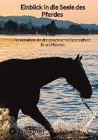 Moritz - Einblick in die Seele des Pferdes - so erhalten sie die psychische Gesundheit ihres Pferdes, Inbunden
