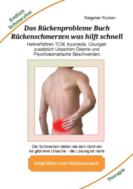 Holger Kiefer - Das Rückenprobleme Buch – Rückenschmerzen was hilft  schnell?, E-bok