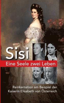 Dagmar Ridky - Eine Seele ZWEI LEBEN: Kaiserin Elisabeth von Österreich - Reinkarnation am Beispiel Sisi - Der spannende Weg unserer Seelenreise, Häftad