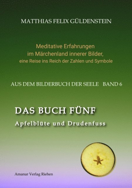 Matthias Felix Guldenstein, Psi Zentrum Basel - DAS BUCH FÜNF; Vom Geben und Nehmen; Haupt und Gieder als fünfstrahliger Stern; Selbstlose Liebe; Freien und Befreien; Grimm-Märchen Sterntaler;, E-bok