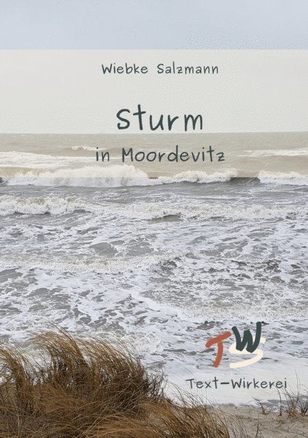 Wiebke Salzmann - Sturm in Moordevitz, E-bok