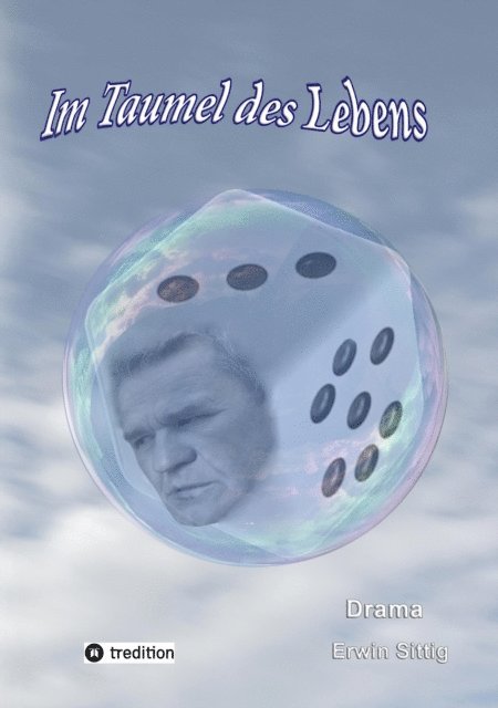 Erwin Sittig - Im Taumel des Lebens, E-bok