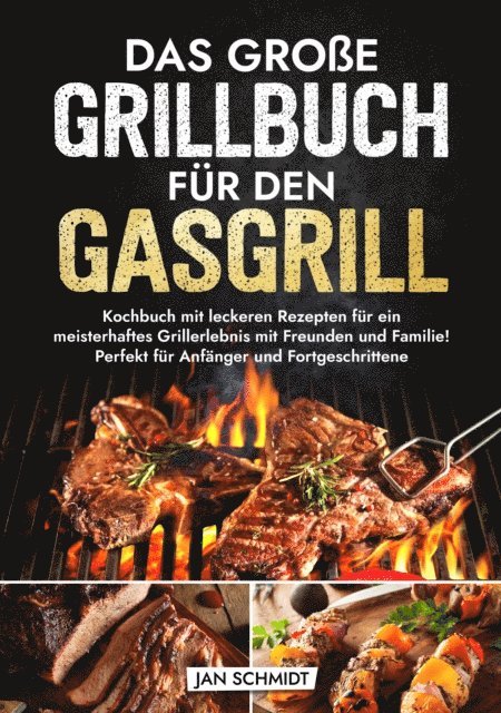 Jan Schmidt - Das große Grillbuch für den Gasgrill, E-bok
