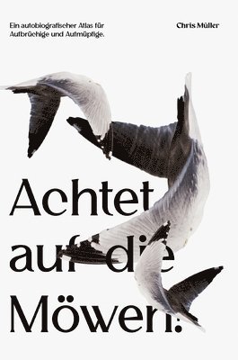 Chris Müller - Achtet auf die Möwen!, Inbunden. Tillgänglighet: Lägg i varukorg