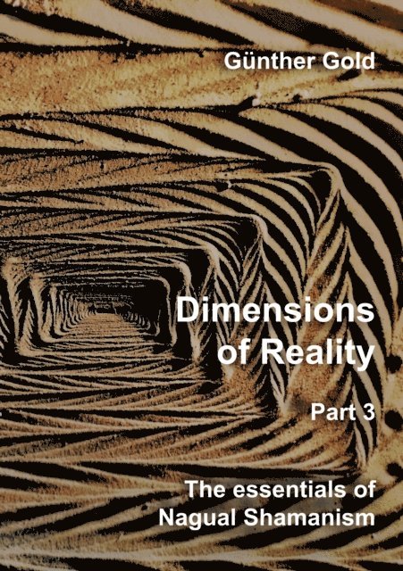 Gunther Gold - Dimensions of Reality - Part 3, E-bok