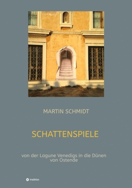 MARTIN SCHMIDT - Schattenspiele, E-bok