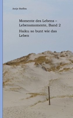 Antje Steffen - Momente des Lebens - Lebensmomente Band 2: Haiku so bunt wie das Leben, Häftad