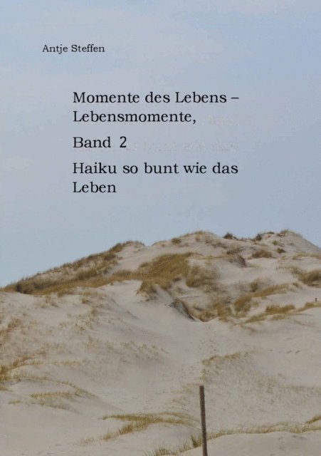 Antje Steffen - Momente des Lebens - Lebensmomente Band 2, E-bok